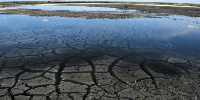 In this Aug. 25, 2011 photo, severe drought conditions in southeastern New Mexico are shown at Bitter Lake National Wildlife Refuge in Roswell, N.M. State and federal water managers and weather forecasters meet to discuss New Mexico's drought situation and whether the state will be in for another dry, windy spring. (AP Photo/Roswell Daily Record, Mark Wilson)