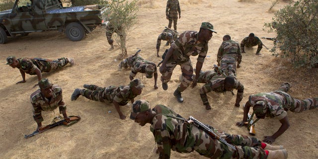 Soldiers in Niger
