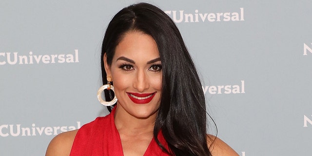 Nikki Bella originally met husband Artem Chigvintsev on the set of ‘Dancing With the Stars’ in 2017.