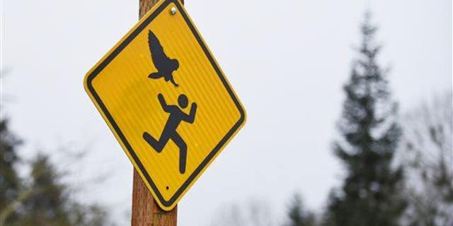 One of the new warning signs at Bush's Pasture Park in Salem, Ore.