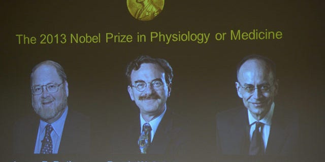 October 7, 2013: Images of James Rothman and Randy Schekman, of the US, and German-born researcher Thomas Suedhof are projected on a screen, in Stockholm, Sweden, Monday after they were announced as the winners of the 2013 Nobel Prize in medicine. (AP Photo)
