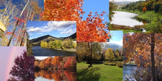 A collage of photos sent in by Noreen's readers shows beautiful fall scenes from around the country.