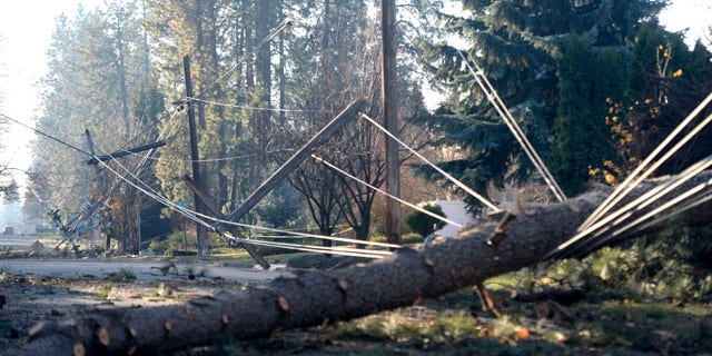 Northwest Storms