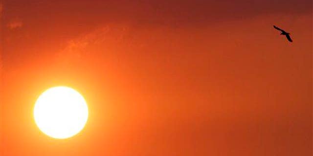 Ocean temperatures might provide an early warning about heat waves on the East Coast.