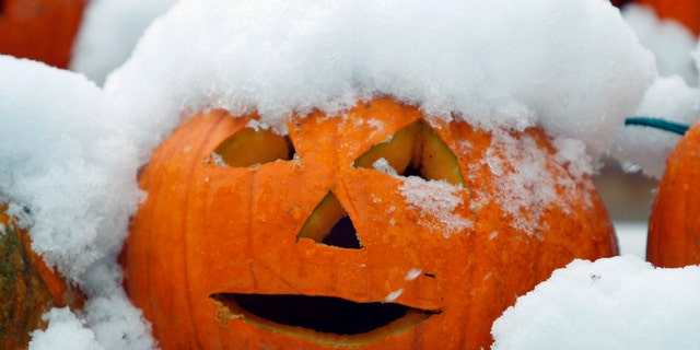 A jack-o'-lantern is covered with snow during a storm, Sunday Oct. 30, 2011, in Freeport, Maine. (AP Photo/Robert F. Bukaty)