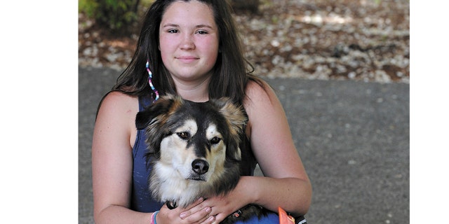 May 15, 2012: In this photo, Jordan Biggs poses for a photo with the service dog she calls "Bear" in Corvallis, Ore. A Portland, Ore., man said a 45-pound dog that leaped the fence of his house last year and vanished is named "Chase."