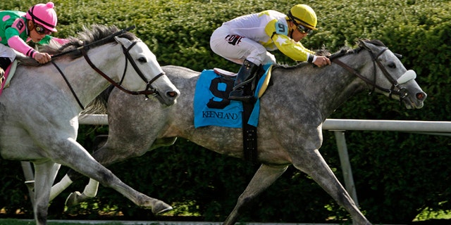 Hard Not to Like, right, with Javier Castellano aboard, outlasts Discreet Marq, left, with Irad Ortiz Jr. aboard, to win the Jenny Wiley Stakes horse race on the turf course at Keeneland in Lexington, Ky., Saturday, April 12, 2014. (AP Photo/Garry Jones)