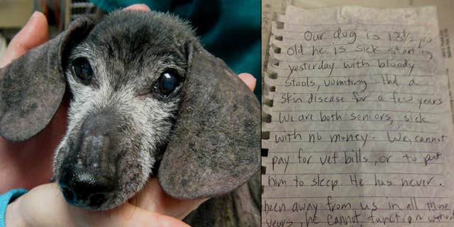 Leave No Paws Behind, Inc. posted a photo of 13-year-old "Otto" on the rescue group's Facebook page.