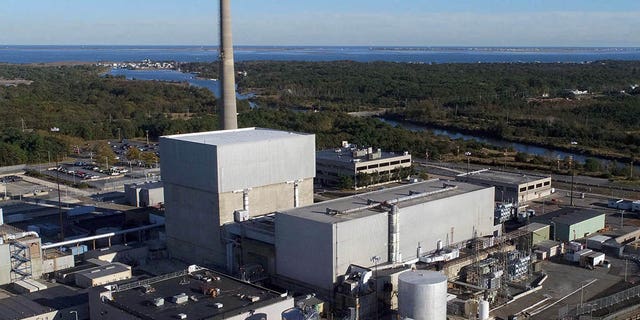 The sale of the nearly 50-year-old Oyster Creek Generating Station in southern New Jersey could result in the plant's being decommissioned in the next eight years. (Excelon)