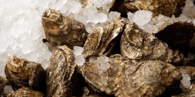 Oysters are important to ecosystems because they filter impurities from water -- yet the delicious mollusks are rapidly vanishing from the world's waterways.