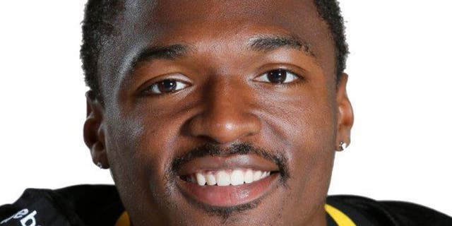 Jul 13, 2015; Hamilton Tiger-Cats player Terrell Sinkfield poses for a photo. Mandatory Credit: USA TODAY Sports