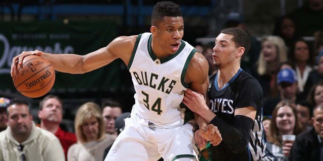 Milwaukee, WI - MARCH 4: Giannis Antetokounmpo #34 of the Milwaukee Bucks handles the ball against the Minnesota Timberwolves on March 4, 2016 at the BMO Harris Bradley Center in Milwaukee, Wisconsin. NOTE TO USER: User expressly acknowledges and agrees that, by downloading and or using this Photograph, user is consenting to the terms and conditions of the Getty Images License Agreement. Mandatory Copyright Notice: Copyright 2016 NBAE (Photo by Gary Dineen/NBAE via Getty Images)