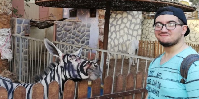 Mahmoud Sarhan visited a Cairo zoo and saw a zebra that did not look quite right.