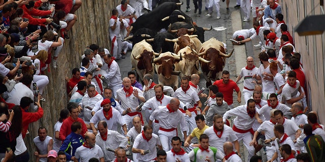 Revellers run next to Puerto de San Lorenzo's fighting bulls during the running of the bulls at the San Fermin Festival, in Pamplona, northern Spain, Saturday.