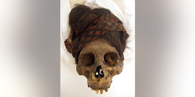 To learn more about the mummies' diets, the researchers took hair samples from 14 individuals and two hair artifacts found at the Paracas Necropolis. This individual wears a red and black headdress.