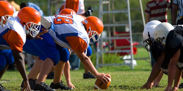 A proposal aimed at delaying the effects of helmet-banging head trauma by banning Illinois children younger than 12 from playing tackle football lacks the votes this spring. Legislation similar is in play in New York, New Jersey, and California. Last month, a Maryland House committee voted down a prohibition on tackling before age 14.