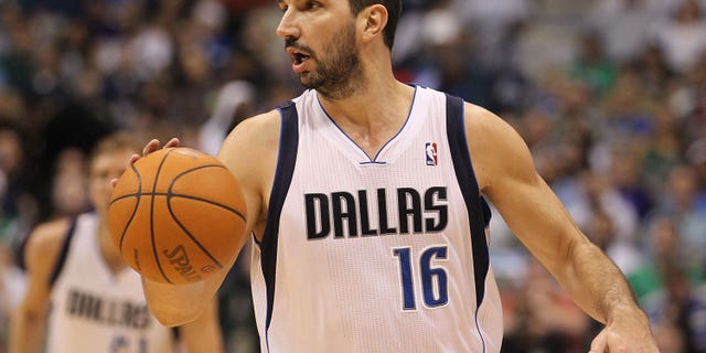Peja Stojakovic