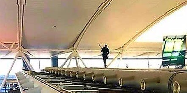 Port Authority Police Department is searching for a missing cat at JFK's International Terminal 4 after it escaped from its crate.