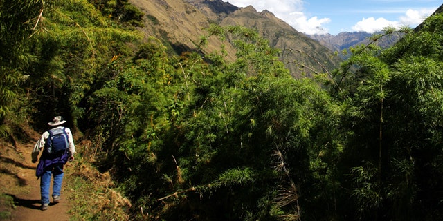 COLPAPAMPA, PERU - JUNE 2007: The trek winds its way down from the High Andes to the cloud forest, "Ceja de Selva", the eyebrow of the jungle, Colpapampa, Peru, 28 June 2007. The weather and surroundings become warmer at this point and orchids, humming-birds and flocks of parrots are visible. There is a dense rise in the jungle foliage as it soars up into the clouds. This part of the trek concludes in Mesada (2800m) where there are natural hot springs and good river swimming. (photo by Brent Stirton/Getty Images.)