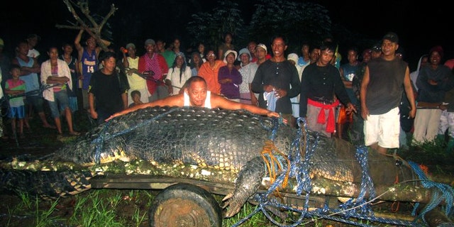 Sept. 4, 2011 FILE photo, residents of Bunawan, southern Philippines with a huge crocodile, named "Lolong" measuring 20.24 feet.