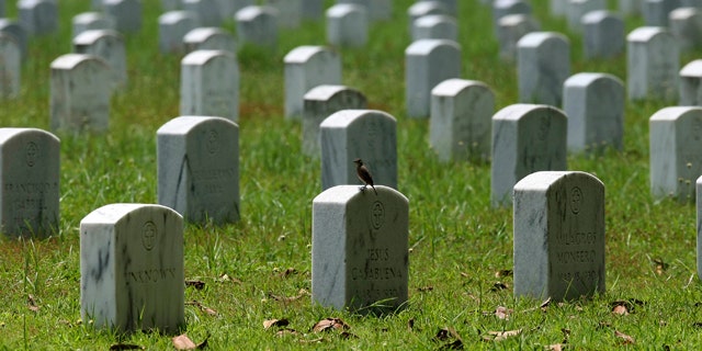 July 1: A bird is perched on one of the tombstones at Clark Veterans Cemetery.