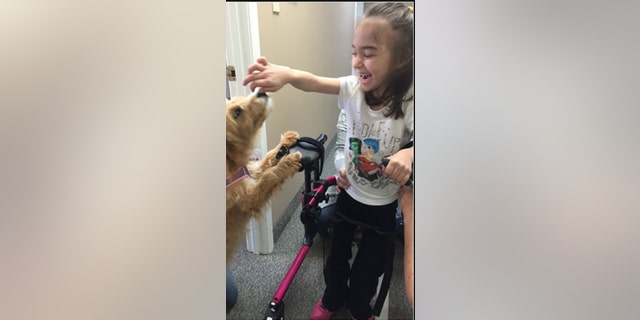 Money raised will go toward her medical care and to making the house more handicapped-accessible.