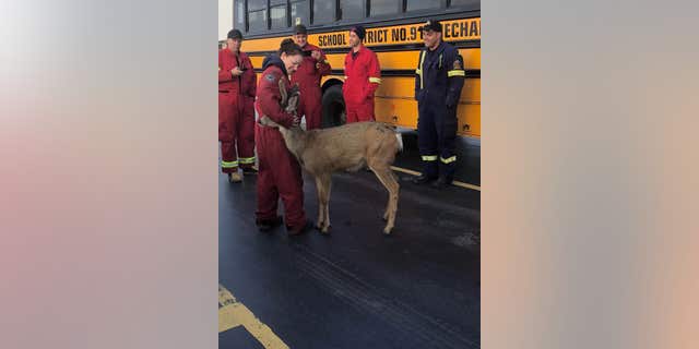 A deer was spotted cozying up with a firefighter in British Columbia, Canada, last week.