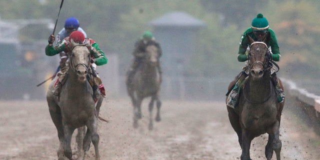 Exaggerator, right, with Kent Desormeaux aboard wins the 141st Preakness Stakes horse race at Pimlico Race Course, Saturday, May 21, 2016, in Baltimore. Cherry Wine, left, with Corey Lanerie aboard places second. (AP Photo/Patrick Semansky)