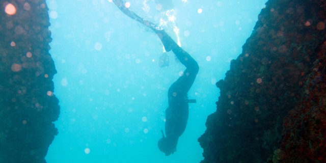 In this Dec. 1, 2013 photo, on a single breath of air, freediver Roberto Reyes begins his practice plunge to 65 feet deep off Aguadilla, Puerto Rico. Freediving fans say it's an adrenaline rush to plunge without an oxygen tank to staggering depths, using weights or relying on gravity alone, and see how long they can remain underwater before what can be the hardest part: coming back up. âIt looks very simple, but it goes beyond that,â Reyes said. âIf you do it once, it's addictive. It feels so good that your body is asking you to return to the ocean.â (AP Photo/Ricardo Arduengo)