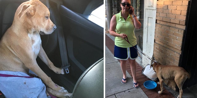 Maine resident Andrea Shaw was in Columbus on business when she spotted the puppy and knew she was going to take him home.