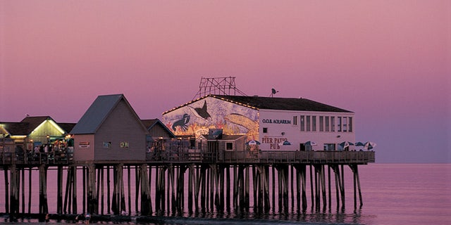 14591 purple pier