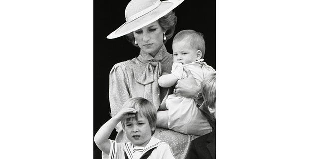 Princess Diana's friend Marie Sutton said the royal would have done anything for her sons, Prince William (bottom) and Prince Harry.
