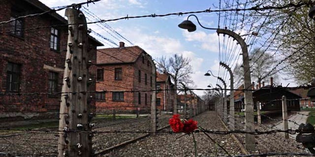April 16, 2015: Carnations are placed on the barbed wire in the former Nazi death camp of Auschwitz.