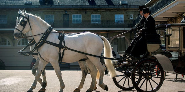 Two Windsor Greys, which will pull the carriage at the wedding of Prince Harry and Meghan Markle, at the Royal Mews at Buckingham Palace, London. Picture taken May 1, 2018.