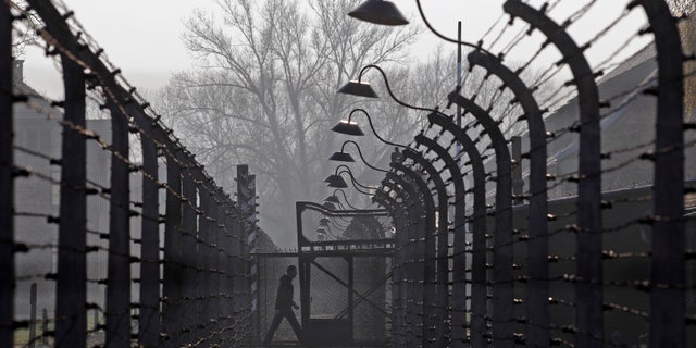 November 18, 2013 - FILE photo of a visitor walking between electric barbed-wired fences at the Auschwitz-Birkenau memorial and former concentration camp .