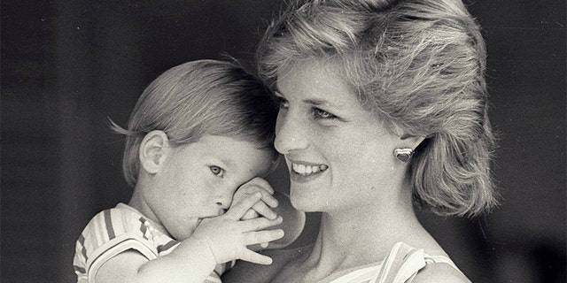 Reuters Princess Diana Prince Harry