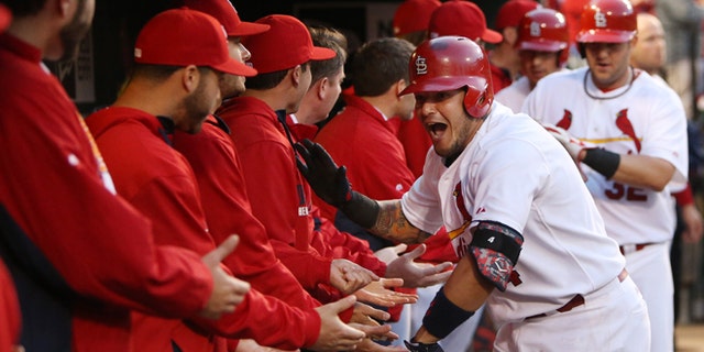 St. Louis Cardinals' Yadier Molina celebrates with teammates in the dugout after hitting a three-run home run against the Milwaukee Brewers in the first inning of a baseball game Tuesday, April 29, 2014, in St. Louis. The Brewers won 5-4 in 11 innings. (AP Photo/St. Louis Post-Dispatch, Chris Lee) EDWARDSVILLE OUT ALTON OUT