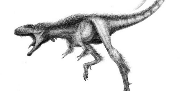 After a fossil collector donated this skeleton, paleontologist Paul Sereno described it as a new species of tiny tyrannosaur called Raptorex.