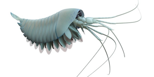 An artist's reconstruction of Yawunik kootenayi.