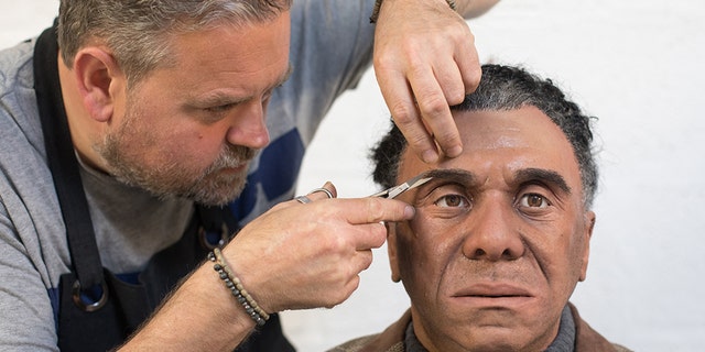 PENRYN, ENGLAND - MAY 09: Engineered Arts prosthetic expert Mike Humphrey checks on Fred a recently completed Mesmer robot that was built at the company's headquarters in Penryn on May 9, 2018 in Cornwall, England. Founded in 2004, the Cornish company operating from an industrial unit near Falmouth, is a world leader in life sized commercial available humanoid robots for entertainment, information, education and research. The company has successfully sold its the fully interactive and multilingual RoboThespian robot around the world to science centres, theme parks and visitor attractions, and also to academic and commercial research groups where they are used as research and development platforms. However, more recently the company has been building a range of lifelike bio-mechanical Mesmer robots. Built on the sensors and the extensive software framework already developed for RoboThespian, the Mesmer robots can offer some of the smartest animatronics on the market, giving extensive interaction but can also move very smoothly, quietly and naturally too. Developed using Engineered Arts own animation software 'Virtual Robot', Mesmer characters can be fictional, or faithful recreations of real-world people with accuracy possible to the last pore or finest of hairs.(Photo by Matt Cardy/Getty Images)