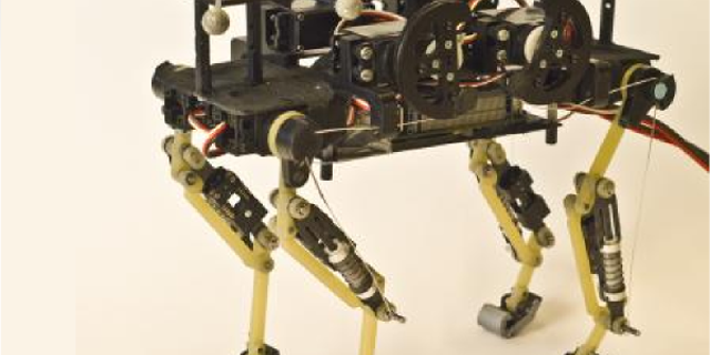 This is Cheetah-cub, a robust quadruped robot.