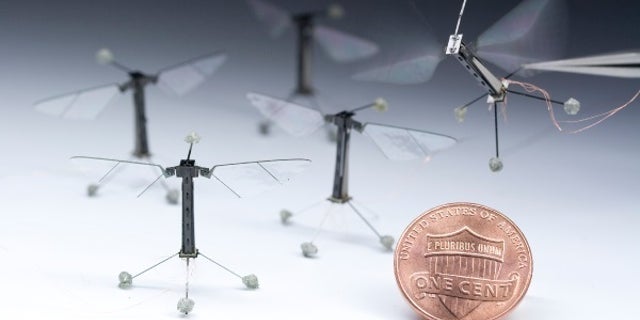 The RoboBee is the smallest flight-capable robot to date.