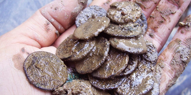 Ancient Roman coins unearthed in Bath, England.
