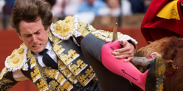 Matador Roman Collado suffered a six-inch gash in his left leg during a bullfight Saturday.