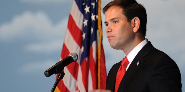 ALTOONA, IA - NOVEMBER 17: U.S. Sen. Marco Rubio (R-FL) speaks at a combination fundraiser and birthday party for Iowa Gov. Terry Branstad, on November 17, 2012 in Altoona, Iowa. Branstad turned 65 this year. (Photo by Steve Pope/Getty Images)