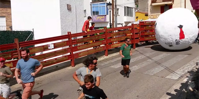 The Running of the Balls in Mataelpino, Spain. (Photo: Via YouTube)
