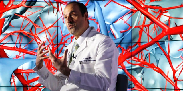 Jan. 24, 2013: Brain surgeon Ali Alaraj talks about the first time he viewed the brain using the CAVE2 -- a system of 72 stereoscopic LCD panels seen behind him. An $85-billion across-the-board slash to funding may affect such advanced scientific research.