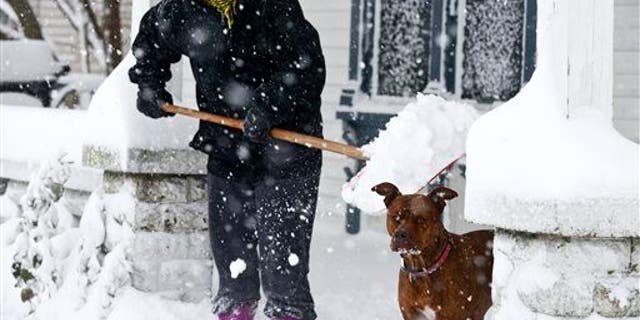 Lauren Hansen shovels snow off her porch as her dog Kapone stands by, Tuesday, Nov. 18, 2014, in Grand Rapids, Mich.