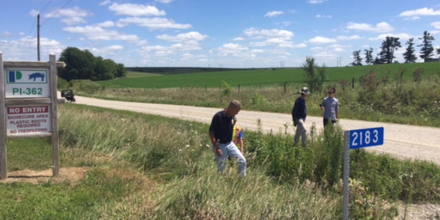 Search crews comb through ditches near the pig farm.