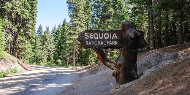 Two hikers have been found dead in Sequoia National Park in less than two weeks.